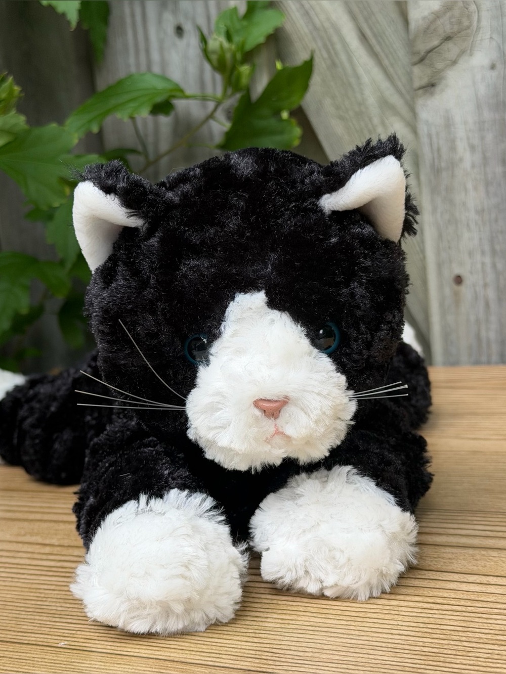Gund Plush Cat Socks Black & White Tuxedo Cat #11006